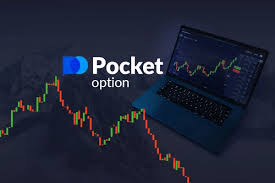 Полный гид по pocket option demo как начать и добиваться успеха